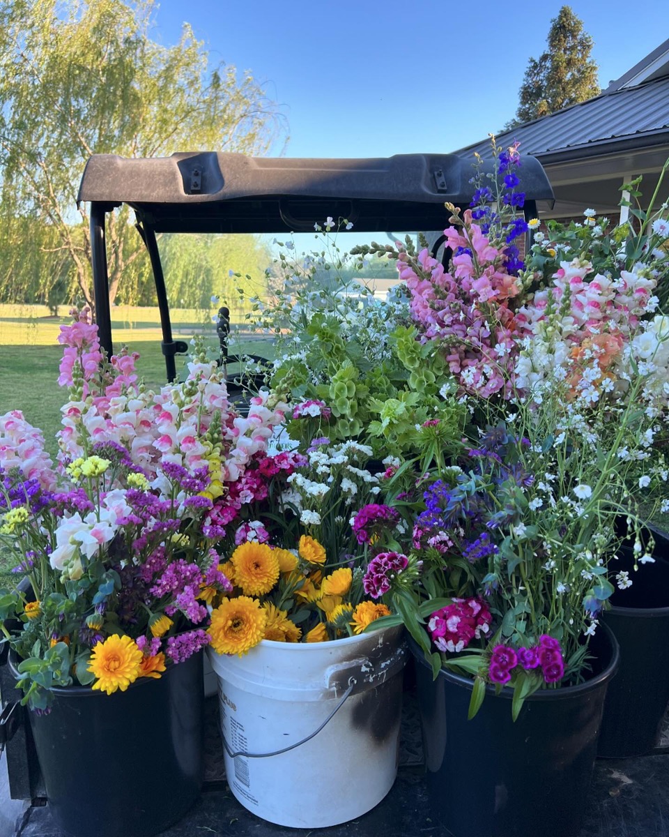 Farm flowers on the cart