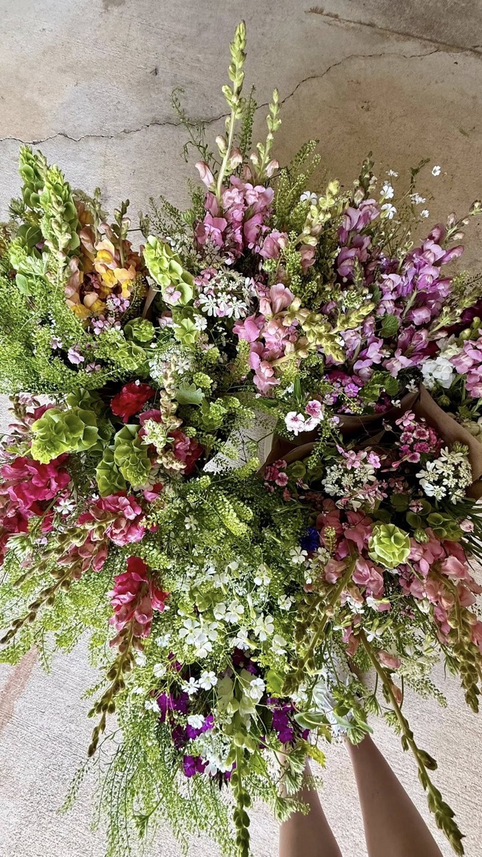 Fresh cut stems from Bloom Fusion Farm