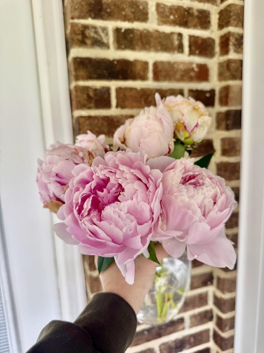 Pink peonies